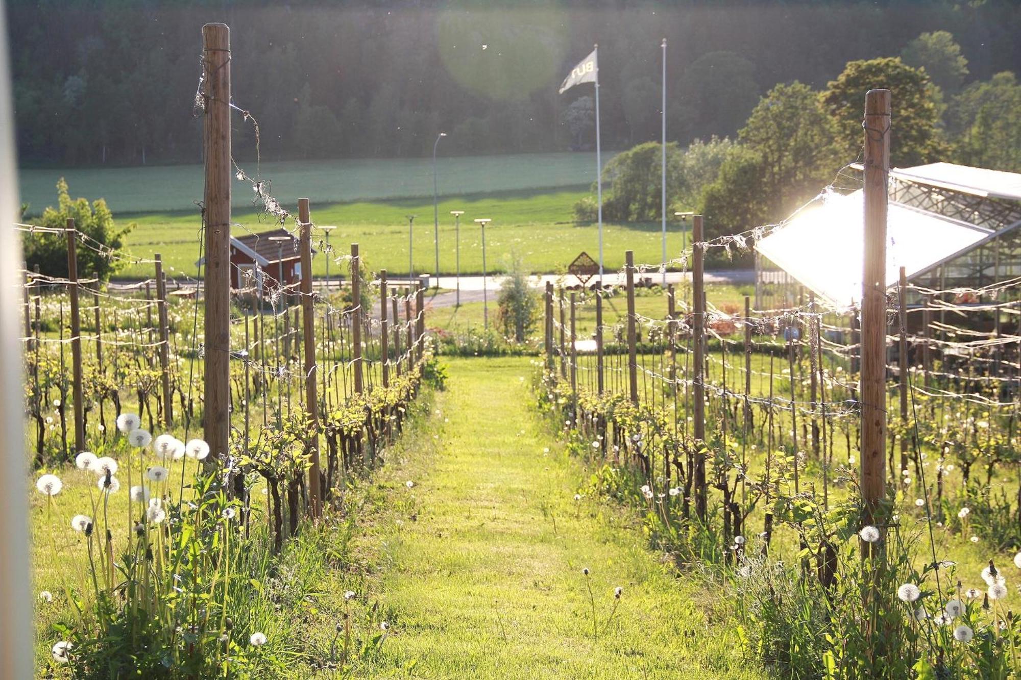 Gisebo Vingard Bed and Breakfast Huskvarna Buitenkant foto